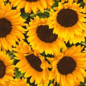 Meet your Posher, Ella